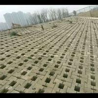 山東植草磚的樣式 山東植草磚的樣式